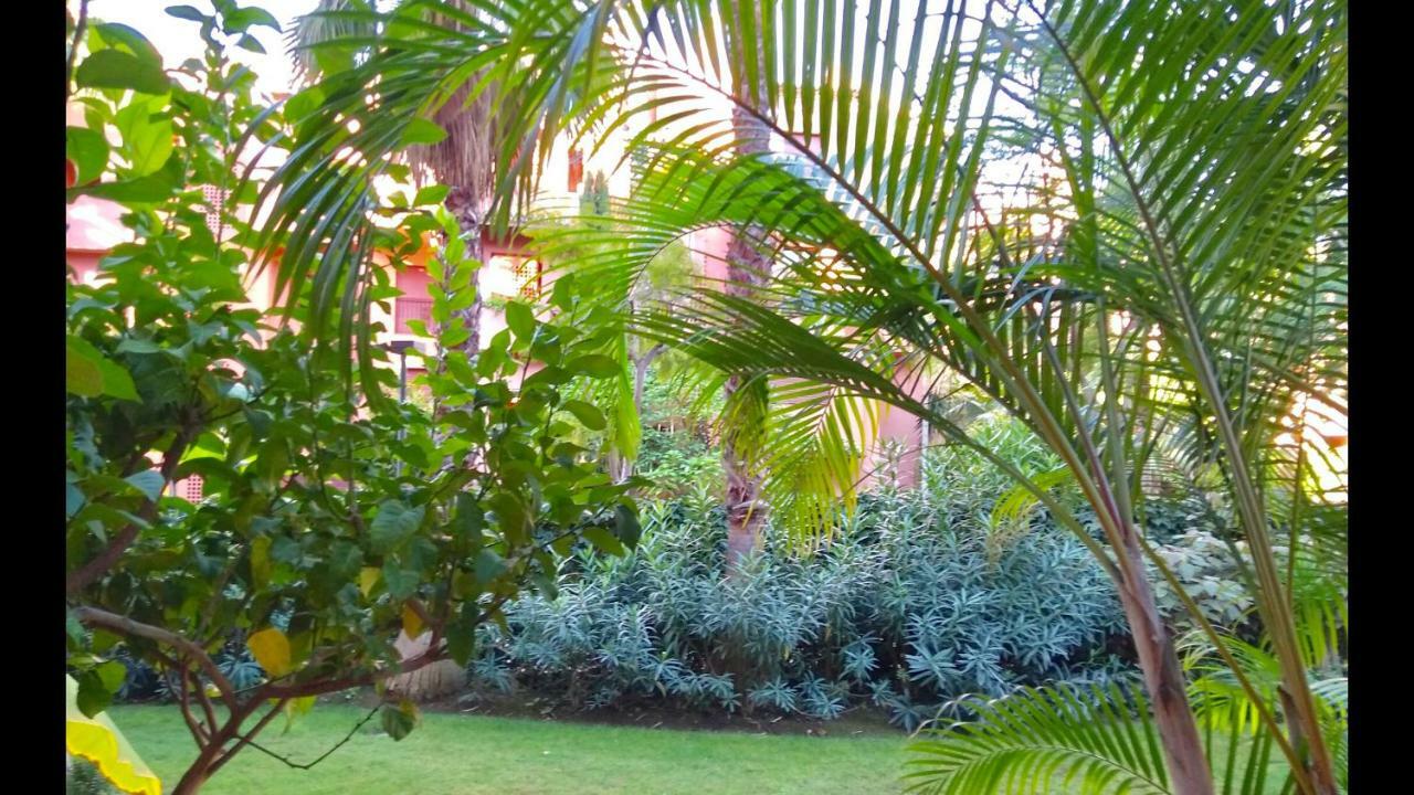 Marbella Alicate Beachfront - Luxury Apartment-2 Екстер'єр фото